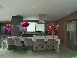 voyeurcam-casa-salsa-fishtank