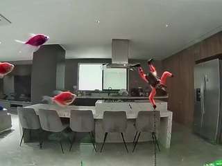 voyeurcam-casa-salsa-fishtank