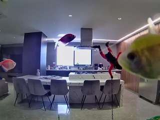 voyeurcam-casa-salsa-fishtank