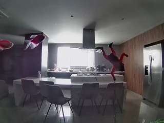voyeurcam-casa-salsa-fishtank