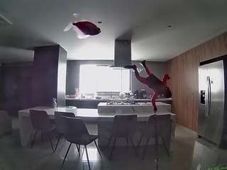 voyeurcam-casa-salsa-fishtank