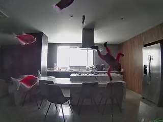 voyeurcam-casa-salsa-fishtank