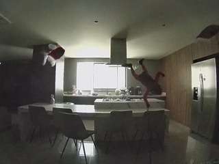 voyeurcam-casa-salsa-fishtank