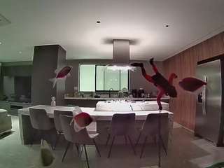 voyeurcam-casa-salsa-fishtank