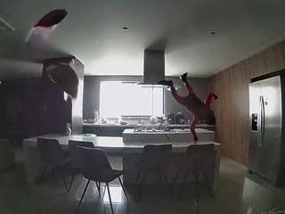 voyeurcam-casa-salsa-fishtank