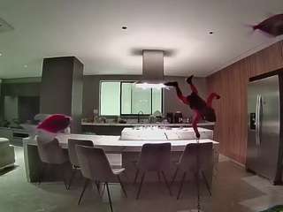 voyeurcam-casa-salsa-fishtank
