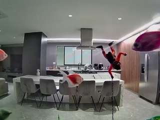 voyeurcam-casa-salsa-fishtank