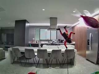 voyeurcam-casa-salsa-fishtank