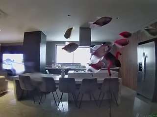 voyeurcam-casa-salsa-fishtank