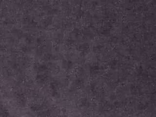 voyeurcam-casa-salsa-fishtank