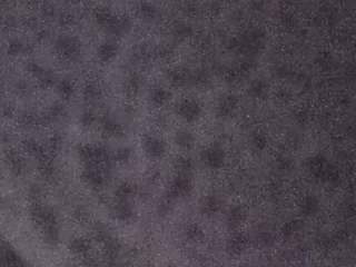 voyeurcam-casa-salsa-fishtank