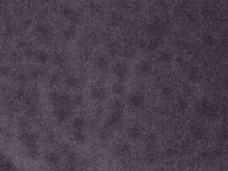 voyeurcam-casa-salsa-fishtank's Info Image