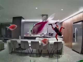 voyeurcam-casa-salsa-fishtank