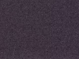 voyeurcam-casa-salsa-fishtank