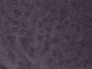 voyeurcam-casa-salsa-fishtank