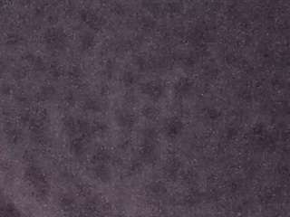 voyeurcam-casa-salsa-fishtank
