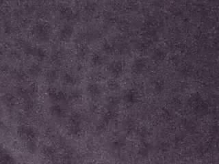 voyeurcam-casa-salsa-fishtank