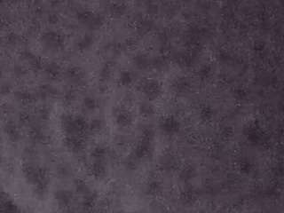 voyeurcam-casa-salsa-fishtank