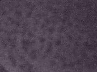 voyeurcam-casa-salsa-fishtank