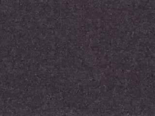 voyeurcam-casa-salsa-fishtank