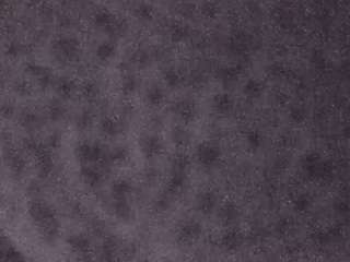 voyeurcam-casa-salsa-fishtank