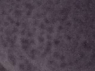 voyeurcam-casa-salsa-fishtank