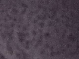 voyeurcam-casa-salsa-fishtank