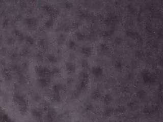 voyeurcam-casa-salsa-fishtank