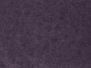 voyeurcam-casa-salsa-fishtank