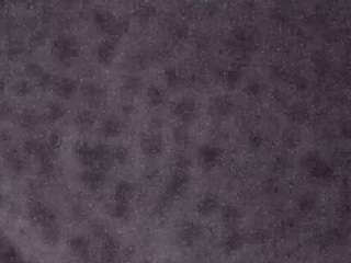 voyeurcam-casa-salsa-fishtank
