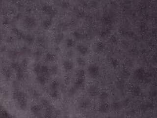 voyeurcam-casa-salsa-fishtank