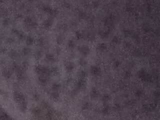 voyeurcam-casa-salsa-fishtank