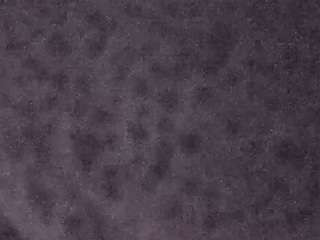 voyeurcam-casa-salsa-fishtank