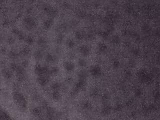 voyeurcam-casa-salsa-fishtank