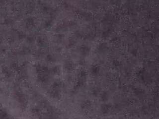 voyeurcam-casa-salsa-fishtank