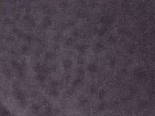 voyeurcam-casa-salsa-fishtank