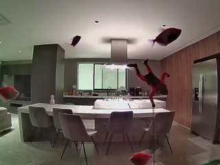 voyeurcam-casa-salsa-fishtank