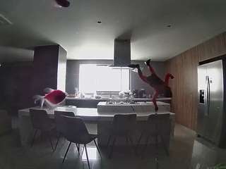 voyeurcam-casa-salsa-fishtank