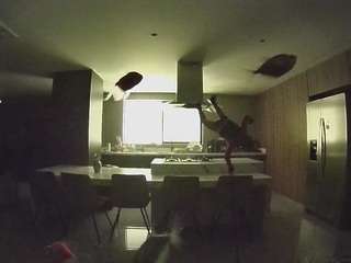 voyeurcam-casa-salsa-fishtank