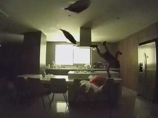 voyeurcam-casa-salsa-fishtank