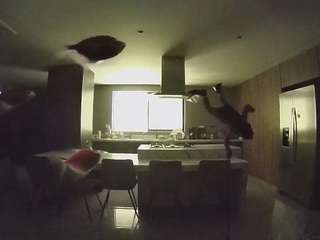 voyeurcam-casa-salsa-fishtank