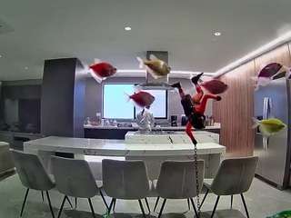 voyeurcam-casa-salsa-fishtank