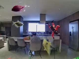 voyeurcam-casa-salsa-fishtank