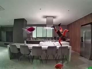 voyeurcam-casa-salsa-fishtank