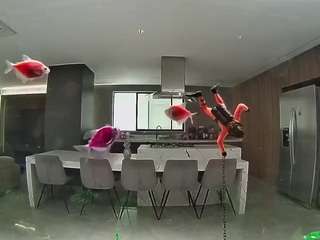 voyeurcam-casa-salsa-fishtank