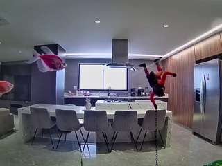 voyeurcam-casa-salsa-fishtank