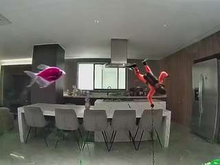 voyeurcam-casa-salsa-fishtank