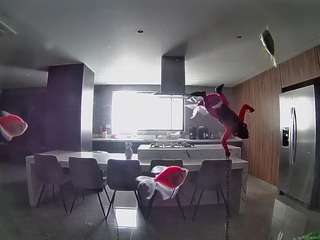 voyeurcam-casa-salsa-fishtank