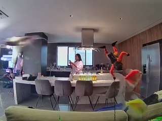 voyeurcam-casa-salsa-fishtank