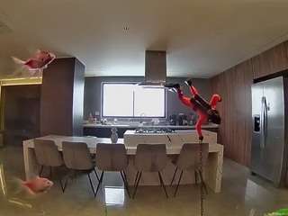 voyeurcam-casa-salsa-fishtank
